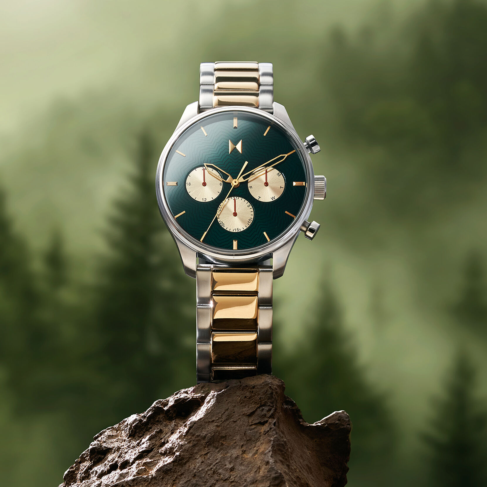 Alpine Treasure