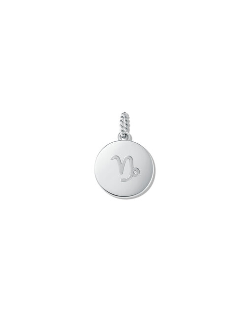 Zodiac Charm - Capricorn