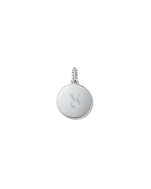 Zodiac Charm - Taurus