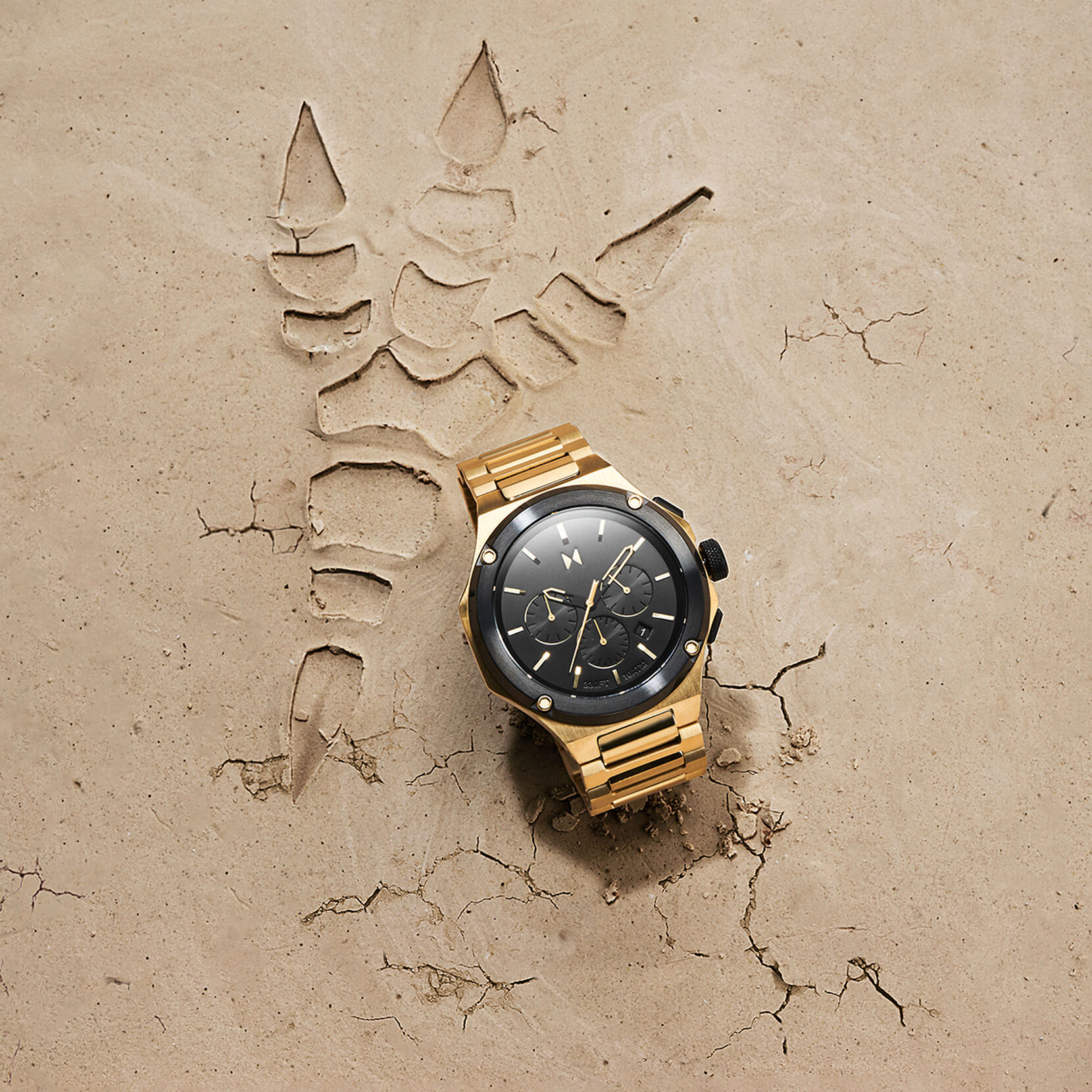 Gold MVMT Solar Men\'s Watch — | Raptor Collection