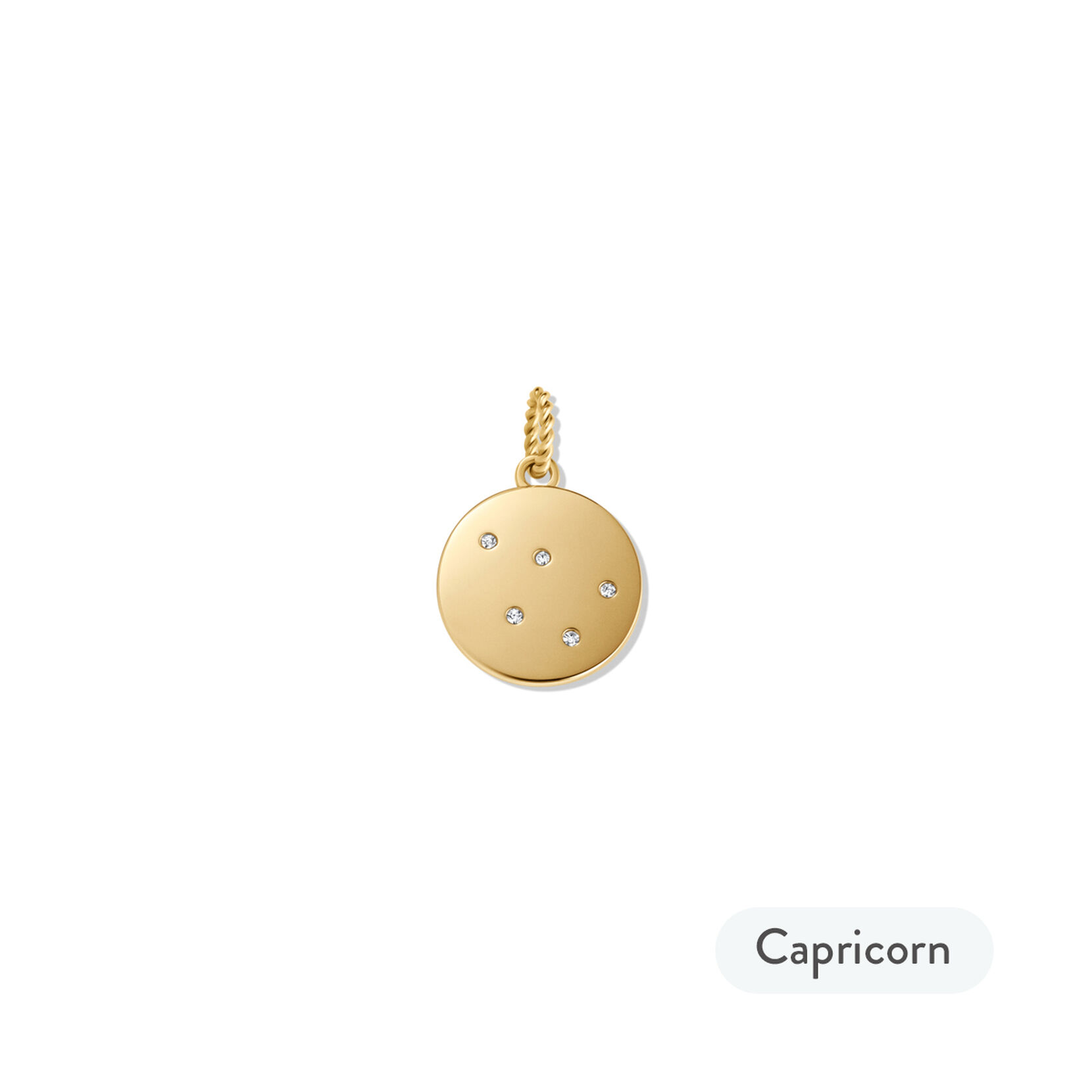 Zodiac Charm - Capricorn