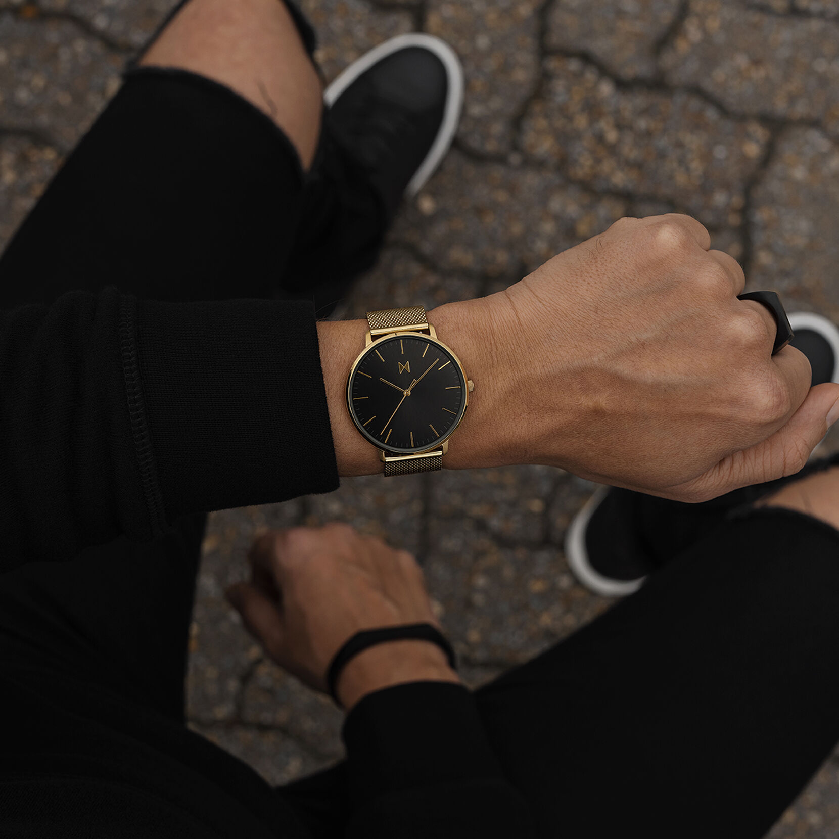 Lion Gold