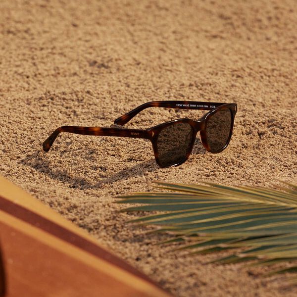 Coaster Classic - California Modern Sunglasses | MVMT