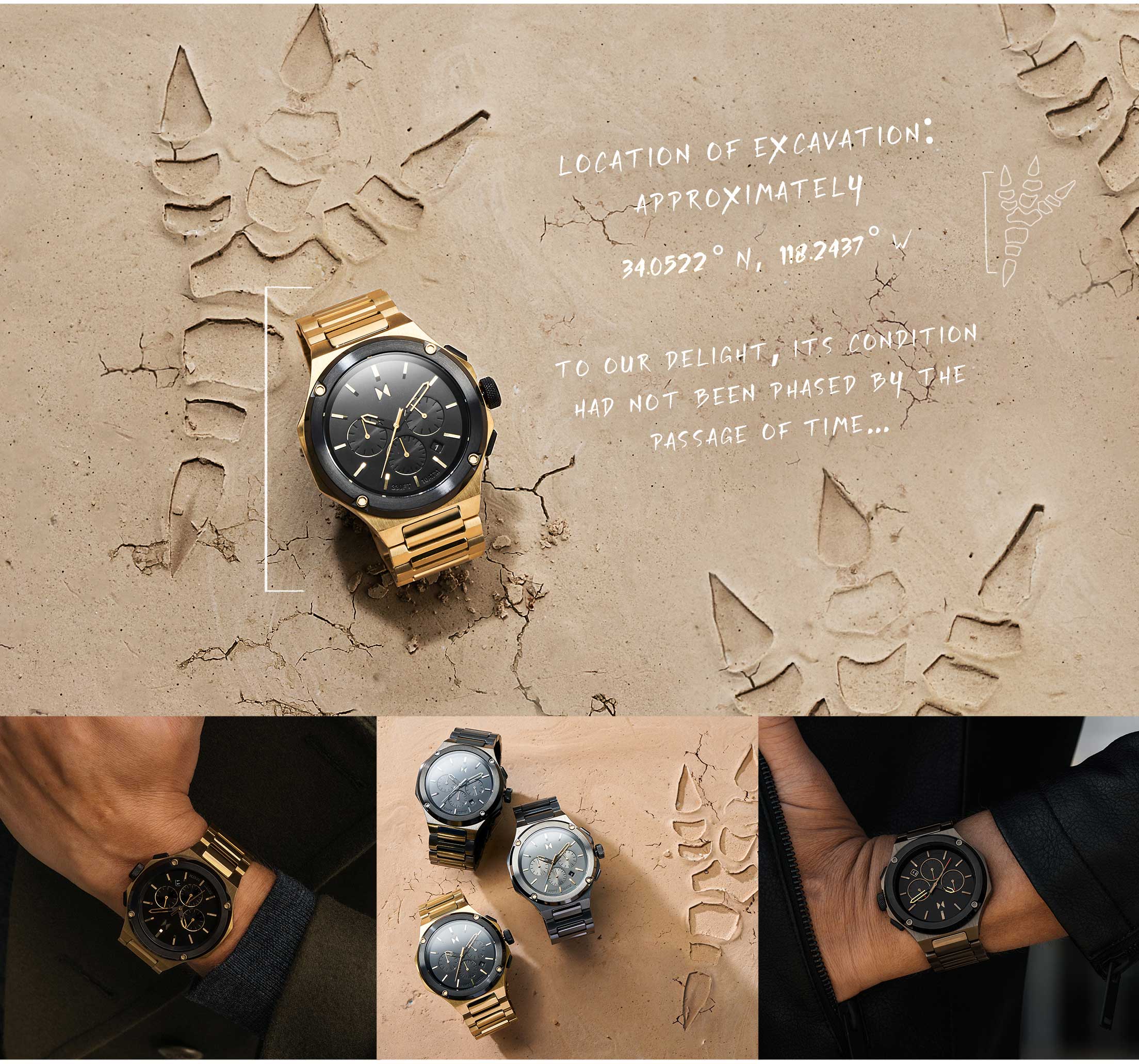 Raptor Collection — Dressed to Kill | MVMT