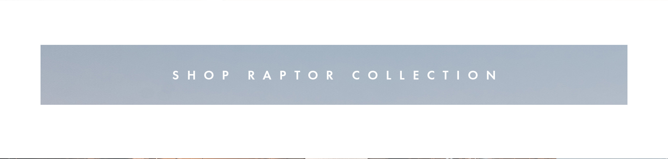 Shop Raptor Collection